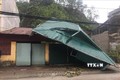 Tuyên Quang: Hơn 410 ngôi nhà bị tốc mái, đổ sập do mưa dông kèm mưa đá