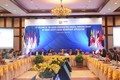 东盟协调委员会工作小组第九次会议在岘港举行
