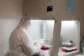 新冠肺炎疫情：越南新冠肺炎病毒体外诊断试剂产品获得注册码