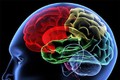 Phương pháp mới khơi gợi trí nhớ trong điều trị người bị tổn thương não bộ