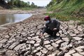 Trung Bộ và Tây Nguyên tiếp tục có nguy cơ hạn hán, thiếu hụt nguồn nước và xâm nhập mặn trong các tháng tiếp theo