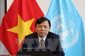联合国安理会首次讨论新冠肺炎疫情：越南呼吁优先援助受影响的国家
