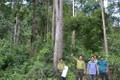 Huyện biên giới Ia H'Drai nỗ lực bảo vệ rừng trong tháng cao điểm khô hạn