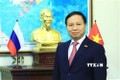 越南驻俄罗斯大使呼吁旅俄越南人社群携手抗击新冠肺炎疫情