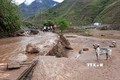 Hội Chữ thập đỏ Việt Nam cứu trợ khẩn cấp các tỉnh bị ảnh hưởng mưa đá, dông lốc