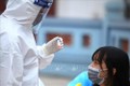 外国非政府组织愿支持越南政府抗击新冠肺炎疫情阻击战中所付出的努力