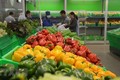 2020年第一季度越南加大对泰国蔬果出口力度 蔬果出口形势喜人