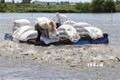美国商务部公布对越南查鱼和巴沙鱼的第15号反倾销税审查期的结果
