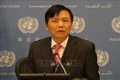 联合国安理会视频公开辩论会： 越南呼吁加强青年领域的国际合作