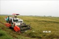 Nông dân Quảng Bình thiệt hại hàng chục tỷ đồng do mưa lớn kèm gió mạnh