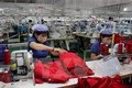 德国企业期望中期间越南经济得到恢复