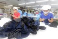 越南出口近4.16万只口罩 