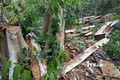 Ngang nhiên phá rừng ở khu vực giáp ranh giữa Đắk Lắk và Gia Lai