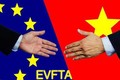 越南国会将在第九次会议首日批准EVFTA协定