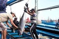 中国所颁发的休渔令对越南毫无价值