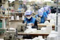 越南纺织服装行业抓住口罩出口的机遇