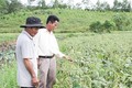 Quảng Trị hỗ trợ chuyển đổi gần 700 ha đất lúa bị thiếu nước
