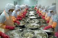 2020年越南虾类出口额有望超过35亿美元