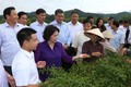 Chủ tịch Quốc hội Nguyễn Thị Kim Ngân thăm và làm việc tại Lạng Sơn