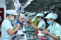 逾50%的在越南和印度的日本企业计划扩大经营活动规模