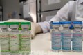 越南研制的第二种疫苗COVIVAC试验开始招募志愿者
