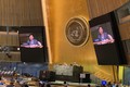 越南与联合国安理会：越南选择的三个优选事项符合外交路线