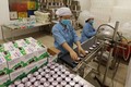 越南乳业的发展前景广阔