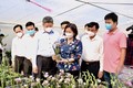 Phó Bí thư Thường trực Thành ủy Hà Nội Nguyễn Thị Tuyến cùng đoàn công tác đi thăm cơ sở sản xuất hoa lan công nghệ cao tại xã Mỹ Hưng, huyện Thanh Oai.