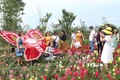 Khách du lịch tham quan vườn hoa hồng tại Khu du lịch cáp treo Fansipan. Ảnh: Quốc Khánh - TTXVN