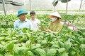 Những năm vừa qua, ngành Nông nghiệp Hà Nội luôn hướng tới một nền nông nghiệp xanh, an toàn và thân thiện với môi trường.