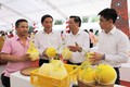 Hà Nội sẽ tìm nguồn trái cây phù hợp để đáp ứng nhu cầu tiêu dùng của người dân Thủ đô.
