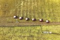 Công ty Cổ phần Tập đoàn Lộc Trời thu hoạch lúa trên cánh đồng liên kết phục vụ xuất khẩu ở huyện Thoại Sơn, tỉnh An Giang. Ảnh: Công Mạo - TTXVN