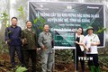 Đồng bào dân tộc tham gia trồng cây tại khu vực rừng đặc dụng xã Minh Sơn, huyện Bắc Mê (Hà Giang). Ảnh: Nam Thái - TTXVN
