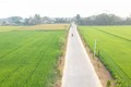 Xã Mỹ Hạnh Nam, huyện Đức Hòa (Long An) được công nhận xã nông thôn mới nâng cao năm 2020. Ảnh: baolongan.vn