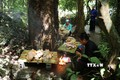 Nghi thức cúng rừng tại lễ hội Háu Đoong của đồng bào dân tộc Giáy ở Lai Châu. Ảnh: Nguyễn Oanh - TTXVN