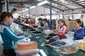 今年前7个月越南鞋类出口总额约达95.3亿美元