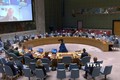 越南与联合国安理会：越南呼吁促进恢复巴勒斯坦问题谈判