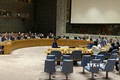 越南与联合国安理会：越南支持不扩散大规模杀伤性武器