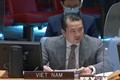 越南与联合国安理会：越南建议进行核查解除对南苏丹的制裁
