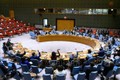 越南与联合国安理会：越南呼吁各方在埃塞俄比亚全面履行国际人道法义务