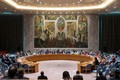 越南与联合国安理会：越南愿为共同维护国际和平与安全以及预防冲突作出贡献