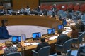 越南常驻联合国代表：各国应承担打击非法武器的责任