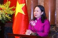 越南驻阿联酋大使阮孟俊：越南与阿联酋合作关系将迈进新发展阶段