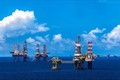 越南国家油气集团连续第10年跻身越南最大企业前三位