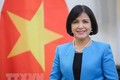 越南出席在日内瓦的世贸组织总部举行印度第7次贸易政策审查会议