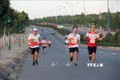 近400名运动员参加在平顺省举行的美奈沙丘马拉松越野赛