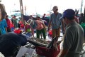 越南中南部地区渔民春节期间海上鱼获丰收
