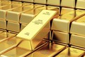 3月2日越南国内市场黄金价格跌破5600万越盾/两关口 