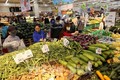 2021年2月河内市消费者物价指数增长1.8%