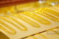 今日上午越南国内市场黄金价格每两下降13万越盾
